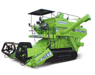 Coir Fiber
