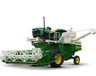 Coir Fiber