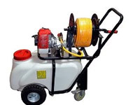 Coir Fiber