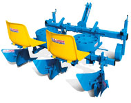 Coir Fiber