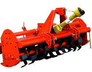 Coir Fiber