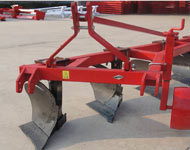 Coir Fiber