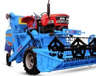 Coir Fiber