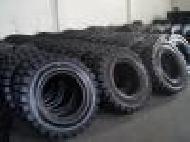 Coir Fiber
