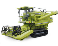 Coir Fiber