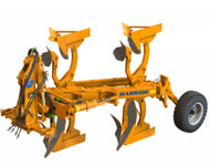 Coir Fiber