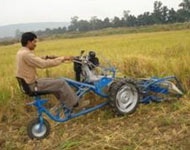 Coir Fiber