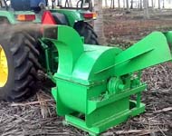 Coir Fiber