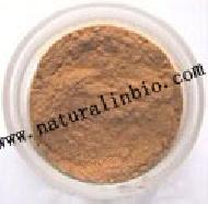 Coir Fiber