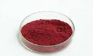 Coir Fiber