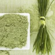 Coir Fiber