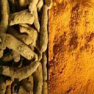 Coir Fiber
