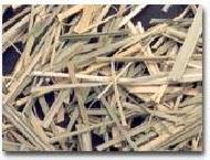 Coir Fiber