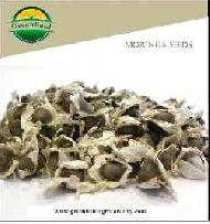 Coir Fiber