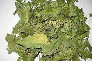 Coir Fiber