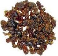 Coir Fiber