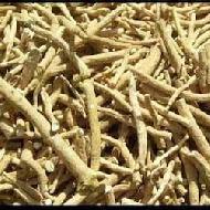 Coir Fiber