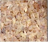Coir Fiber