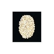 Coir Fiber