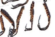 Coir Fiber