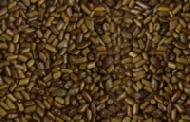 Coir Fiber