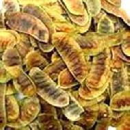 Coir Fiber
