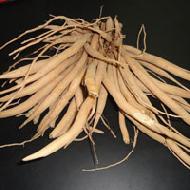 Coir Fiber