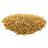 Coir Fiber