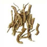 Coir Fiber