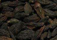 Coir Fiber