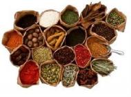 Coir Fiber