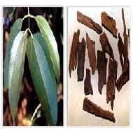 Coir Fiber