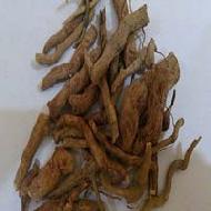 Coir Fiber