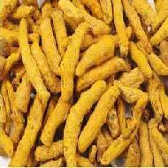 Coir Fiber