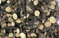 Coir Fiber