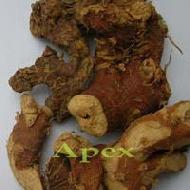 Coir Fiber