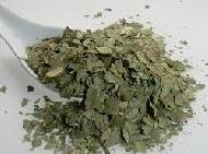 Coir Fiber