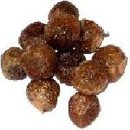 Coir Fiber