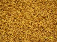 Coir Fiber