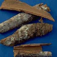 Coir Fiber