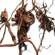Coir Fiber