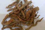Coir Fiber