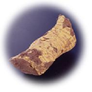 Coir Fiber