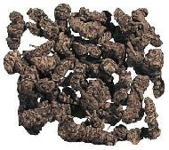 Coir Fiber