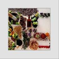 Coir Fiber