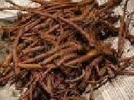 Coir Fiber