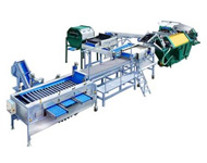 Coir Fiber