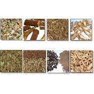 Coir Fiber