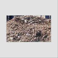 Coir Fiber