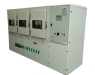 Coir Fiber